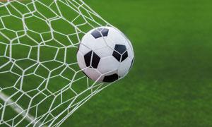  最新荷甲下球站手机版，畅享移动观赛新体验（最新荷甲下球站手机版）